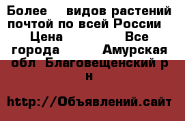 Более200 видов растений почтой по всей России › Цена ­ 100-500 - Все города  »    . Амурская обл.,Благовещенский р-н